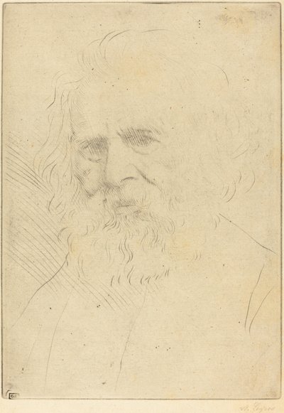 W.H. Longfellow，第1版。 作者 阿方斯·莱格罗斯（Alphonse Legros）