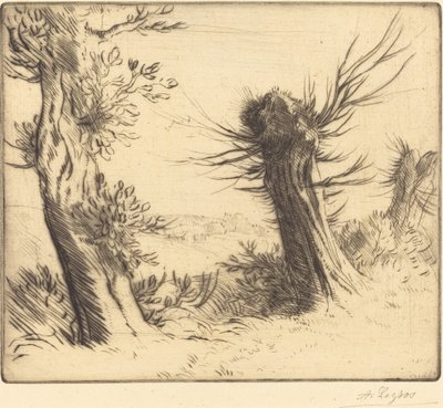 柳树 柳树。 作者 阿方斯·莱格罗斯（Alphonse Legros）