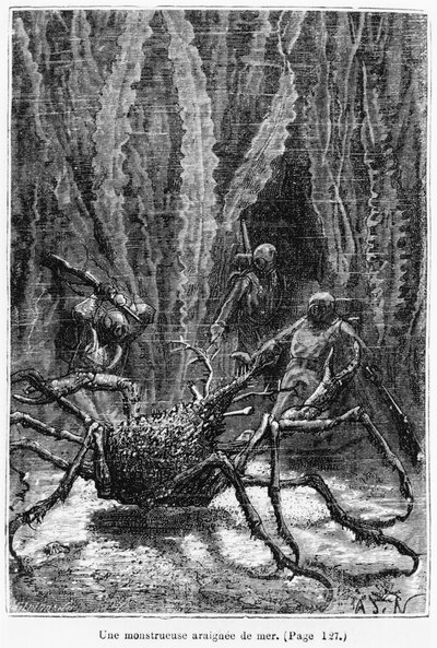 Jules Verne（1828-1905）的&39;20,000海底联盟&39;中的蜘蛛蟹图片由Henri Theophile Hildibrand（1824-97）雕刻，巴黎，Hetzel，1877年出版 作者 阿方斯·玛丽·德·诺伊维尔