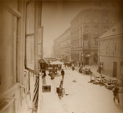 从Muchas公寓的窗户看，靠近Amalienstrasse，慕尼黑，1886年（明胶银印） 作者 阿方斯·慕夏