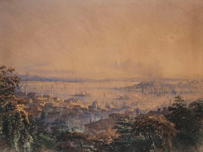 君士坦丁堡全景，1866年 作者 阿马德奥·普雷齐奥西