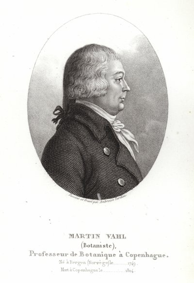 马丁瓦尔 作者 安布罗斯·塔迪厄（Ambroise Tardieu）