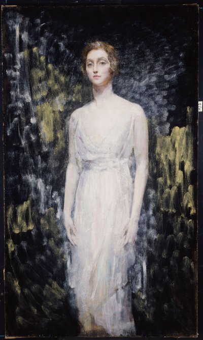 一位女士的画像 作者 安布罗斯·麦克沃伊