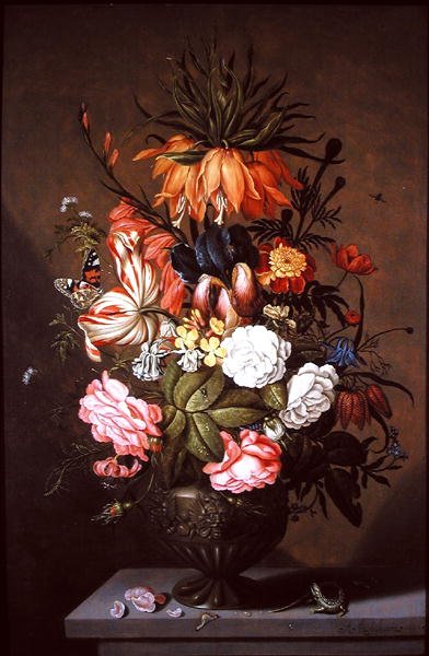 被分类的花静物画，1634 作者 年轻的博沙查特人安布罗休斯