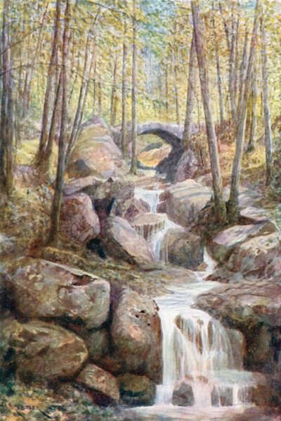 先知之桥，梅耶贝尔长廊，温泉森林（彩色石版画） 作者 Amedee（之后）Forestier