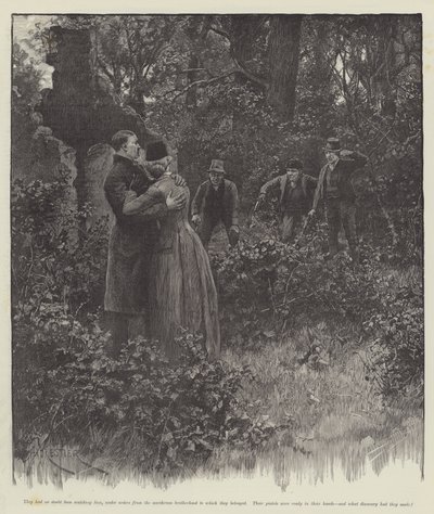 盲目的爱，威尔基柯林斯 作者 Amedee Forestier