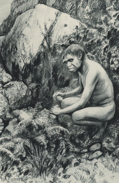 老高原的古代租户，也许是一万个世纪前 作者 阿梅迪·福雷斯蒂尔