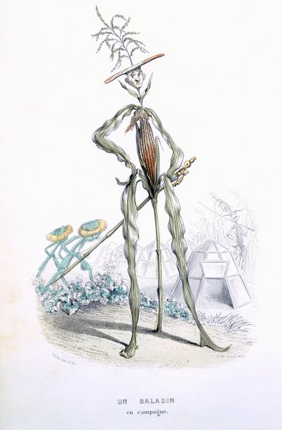 乡村婴儿车，来自&39;L&39;Empire des Legumes，Memoires de Curcurbitus&39;，Eugene Nus和Meray Antoine，1851年（彩色雕刻） 作者 阿米迪·瓦林（Amedee Varin）