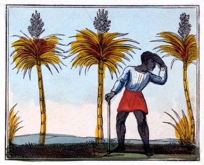 切甘蔗，1826年 作者 阿米莉亚（Amelia Alderson）Opie