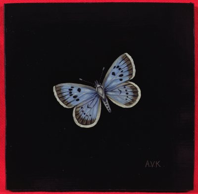 大蓝蝴蝶，2000 作者 Amelia Kleiser