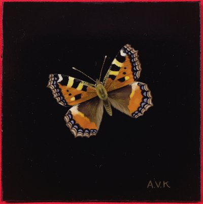 小玳瑁蝴蝶，1998年 作者 Amelia Kleiser