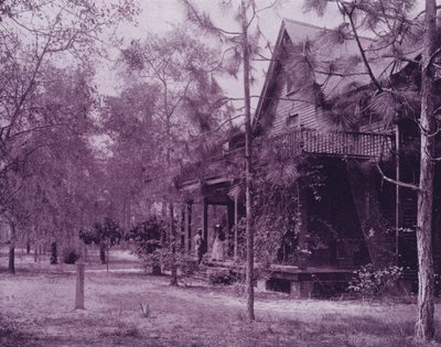 A home in the shades of Southern Pines, Florida (b/w photo) 作者 美国摄影师（后）