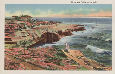 加利福尼亚州：沿着 La Jolla 的悬崖（照片） 作者 美国摄影师（后）