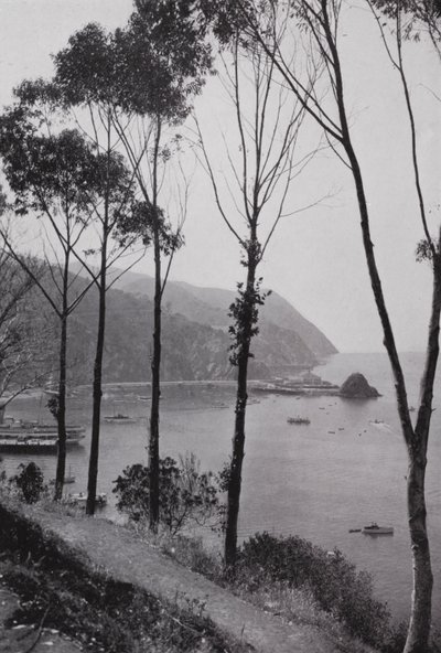 加州。阿瓦隆湾，圣卡塔琳娜岛，距离南加州大陆30英里的太平洋上的神奇游乐场（黑白照片）。 作者 美国摄影师（后）