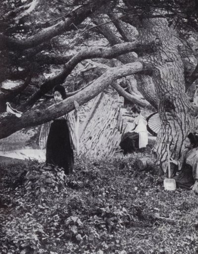 Gadis-gadis Jepang di antara pohon-pohon pinus tua di samping parit kekaisaran kuno di Tokio (foto b/w) 作者 美国摄影师（后）