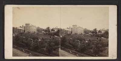 建筑物和场地，纽约州奥奈达社区，约1870年（黑白照片） 作者 美国摄影师
