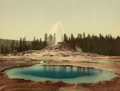 城堡间歇泉，黄石国家公园，约1898年（照相馆）。 作者 美国摄影师