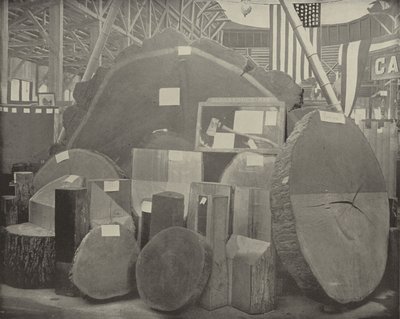 Gladstones Axe 作者 美国摄影师
