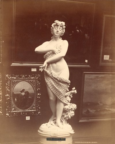 爱情网，意大利展览，百年国际展览，1876年 作者 美国摄影师