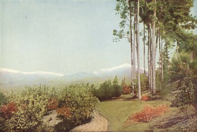 Old Baldy，来自加利福尼亚州的Smiley Heights（彩色照片） 作者 美国摄影师