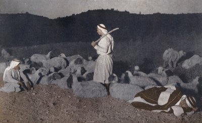 巴勒斯坦牧羊人在夜里看护羊群（彩色照片） 作者 美国摄影师
