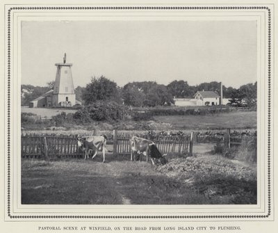 Pastoral Scene at Winfield, on the Road from Long Island City to Flushing (b/w photo) 作者 美国摄影师