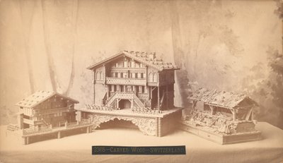 瑞士别墅，雕刻模型，费城百年国际展览，1876年（银蛋白印刷） 作者 美国摄影师