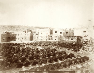 在希伯伦的制革厂与1898年至1911年在前景中摆放的皮革 作者 美国摄影师