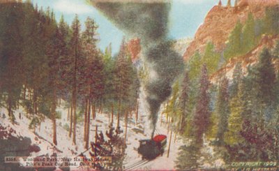 林地公园，科罗拉多州派克峰盘山公路半山腰附近（彩色照片） 作者 美国摄影师