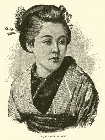 日本的美女 作者 美国学校