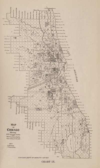 关于1918年秋季芝加哥市流感疫情的报告 作者 美国学校