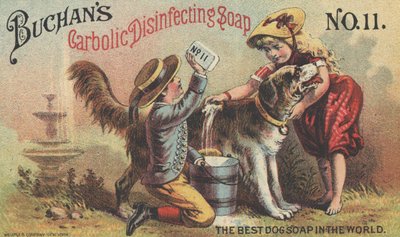 Buchans Carbolic Disinfecting Soap No. 11，c.1880的广告 作者 美国学校
