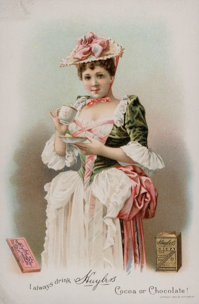 Huyler的可可和巧克力的广告，1893年 作者 美国学校
