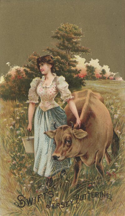 Swifts Jersey Butterine的广告，1880年 作者 美国学校