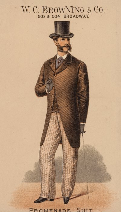 纽约 W C Browning  Co 公司的广告卡（彩色石版印刷） 作者 美国学校
