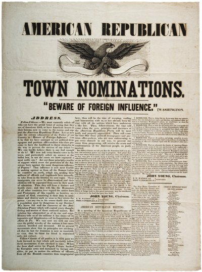 美国共和党提名：谨防外国影响，第1845页 作者 American School