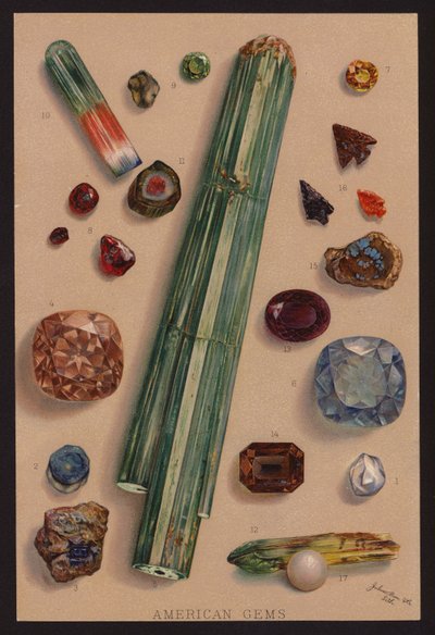 美国宝石（彩色石印） 作者 美国学校