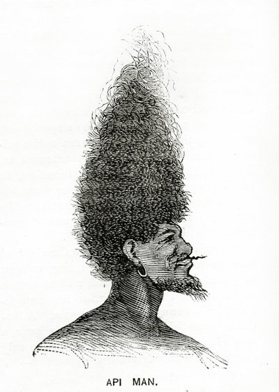 Api Man，插图来自Appletons Journal，1872年5月4日 作者 美国学校