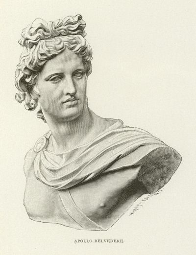 Apollo Belvedere 作者 美国学校