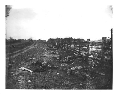 1862年9月19日，在Antietam战役中，Hagerstown Pike西侧的同盟者死亡 作者 美国学校