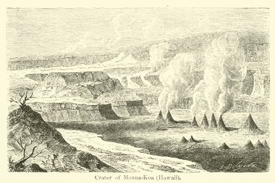 Mauna-Koa火山口，夏威夷 作者 美国学校