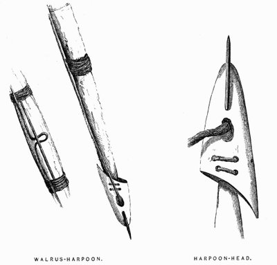 Eskimo Hunting Tools: Harpoons - Elisha Kent Kane, Artic Exlorations in the Years 1853-1855, vol. 1, p. 412, Philadelphia 作者 美国学校