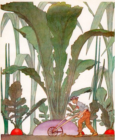 农民种植巨大的花园蔬菜 作者 美国学校