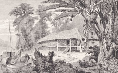 1874年弗兰兹凯勒（Franz Keller）的“亚马逊河和马德拉河”（The Amazon and Madeira Rivers）中富有的印度橡胶收藏家 作者 美国学校