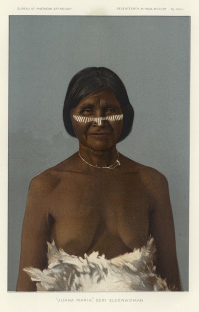 Juana Maria，Seri Elderwoman 作者 American School