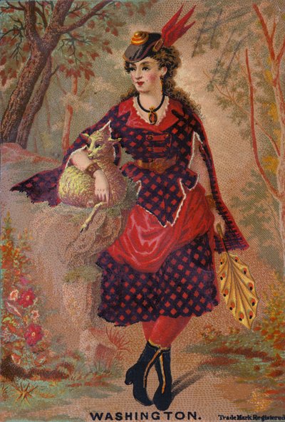 女士控股羊肉 作者 American School
