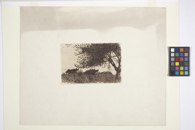 山水（水墨） 作者 美国学校