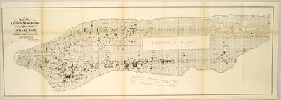 显示天花位置的纽约市地图，从 1874 年 5 月 1 日到 1875 年 4 月 30 日。 作者 美国学校