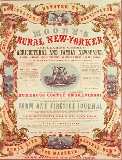 摩尔的《纽约农村人》(Rural New-Yorker) 作者 美国学校