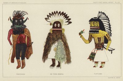 Pakiokwik、Ke Towa Bisena、Turtumsi（彩色石版画） 作者 美国学校
